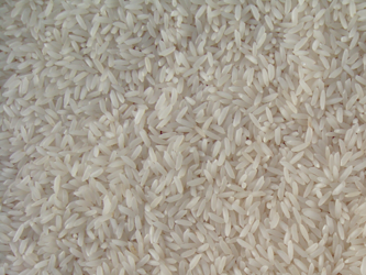 Gujarat 17 Rice